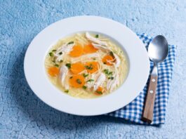 chicken soup - evanto