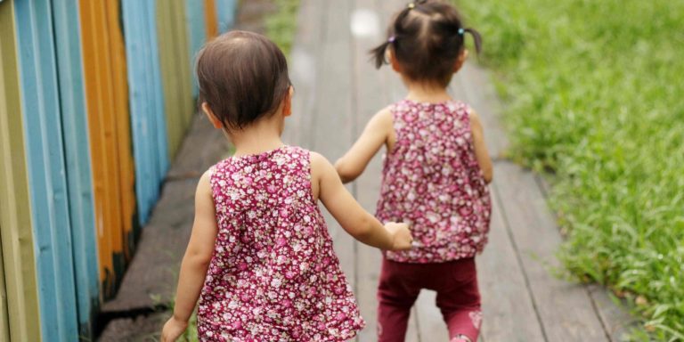 autism in twins reversed