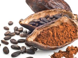 cocoa beans