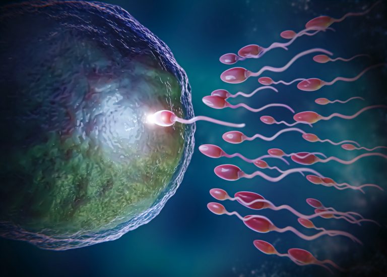 sperm donor