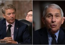 Rand Paul subpoenas Anthony Fauci to testify before Congress next month rand paul and anthony fauci