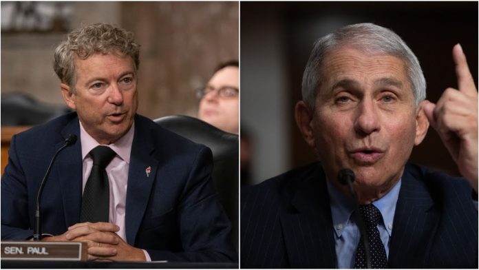 rand paul and anthony fauci