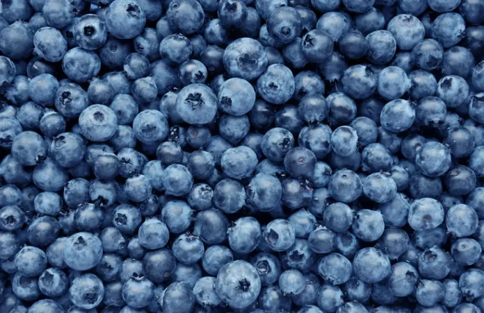 blueberries recalled